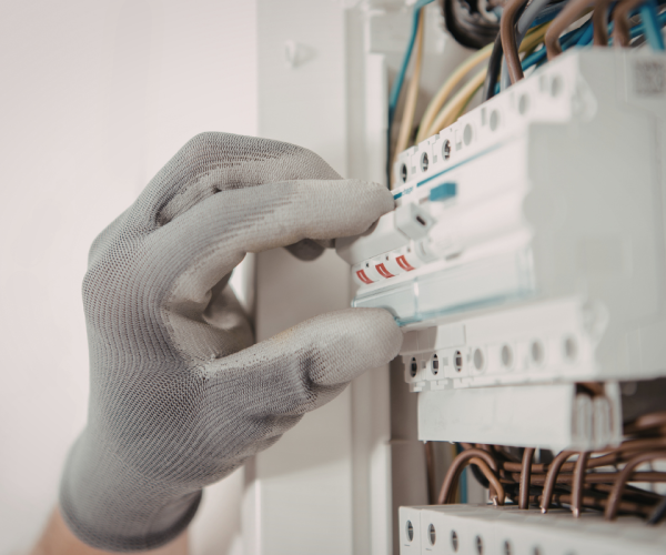 Projekt bez nazwy (100)